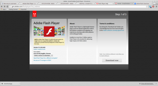 Why it's important to update adobe Flash